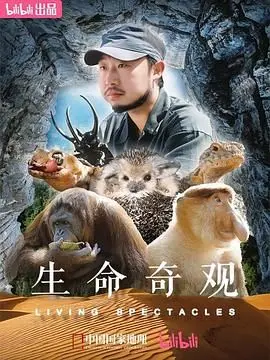 《生命奇观》：一场震撼心灵的视觉盛宴，探索生命的奥秘与奇迹！