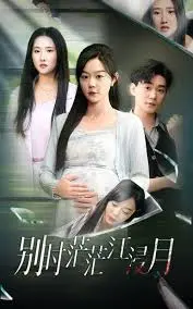 《别时茫茫江浸月》：虐恋情深？还是命运捉弄？深度解读与情感共鸣